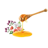 عسل عشبي بالزنجبيل
